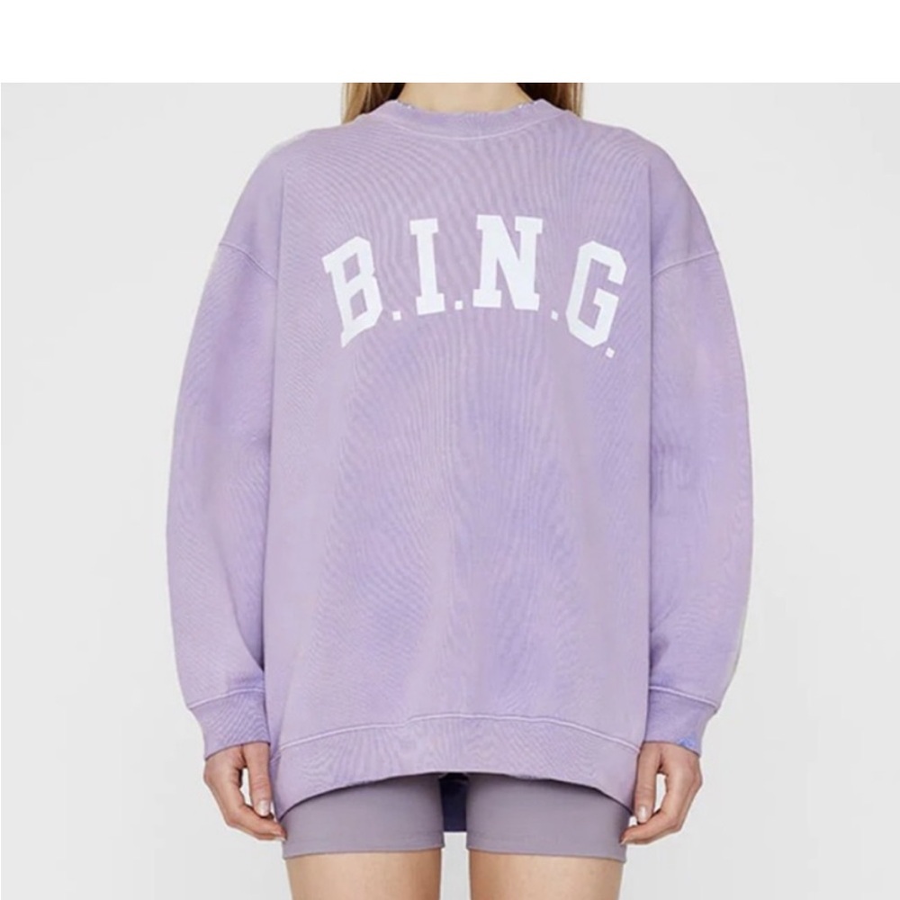 Anine Bing Tyler sweatshirt XL